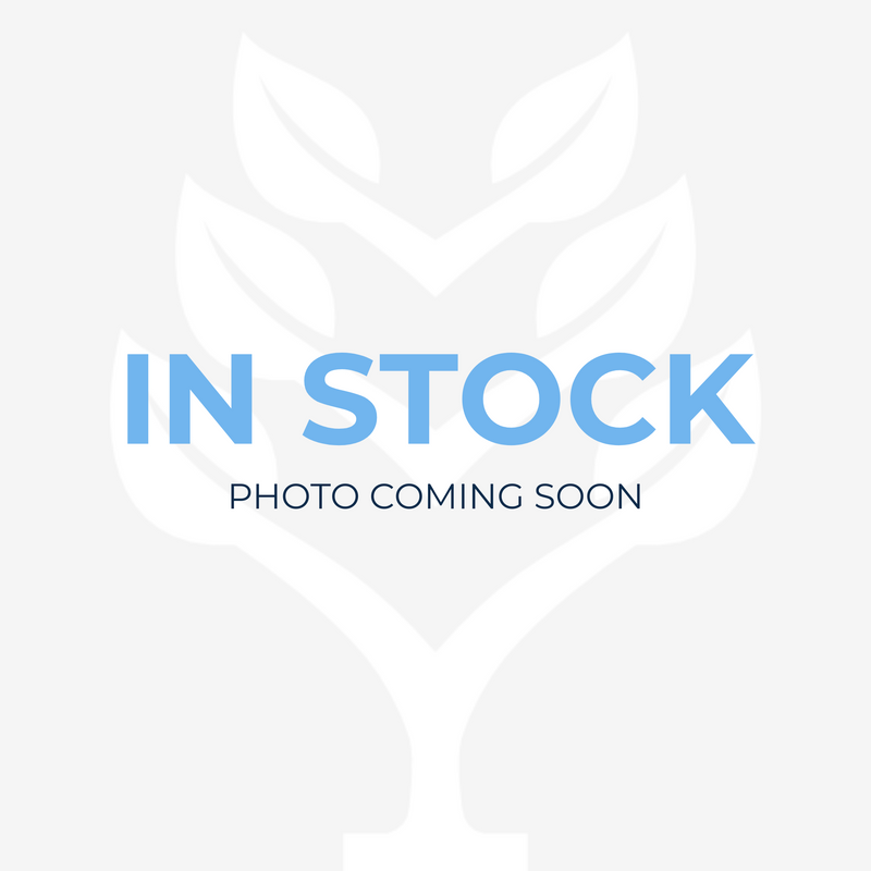 HP PRODESK 400 G6 MINI PC MICRO | CORE I5-10500T 2.30 GHZ | 16 GB | 256 GB SSD