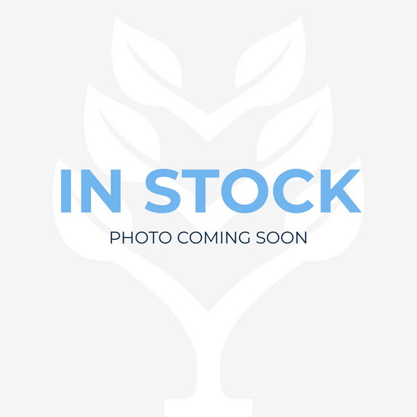HP ELITE DISPLAY E222 | 22.0"